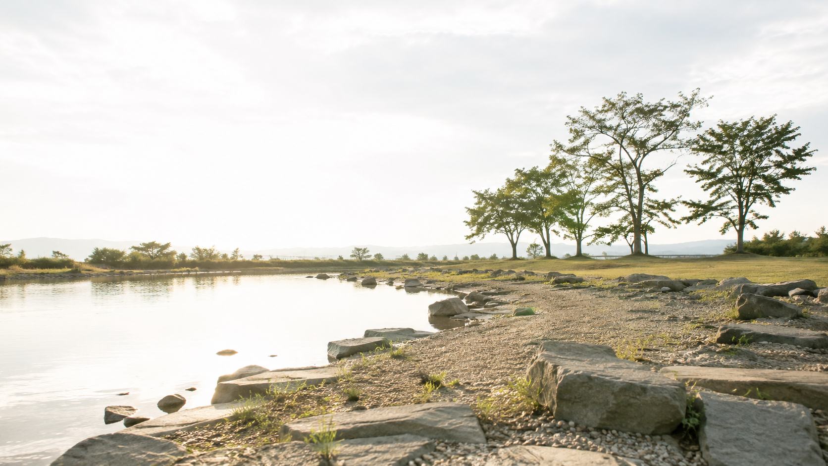 朝の光を受ける公園の水辺。手前に自然石と砂利、奥に落葉樹と芝地