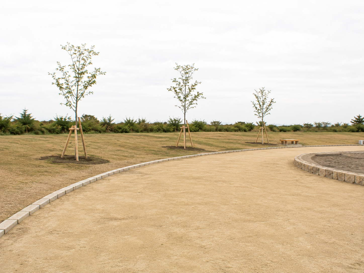 整備されたばかりの公園の園路と、支柱で支えられた植栽したての若木